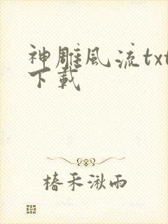 神雕风流txt下载