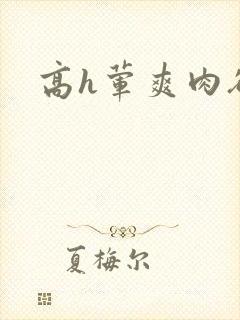 高h荤爽肉欲文