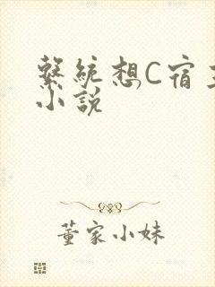 系统想C宿主的小说