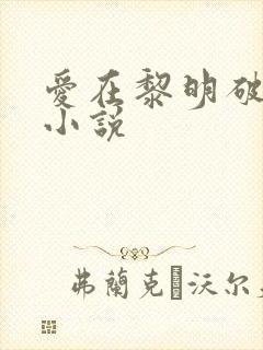 爱在黎明破晓前小说
