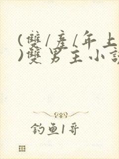 (双/产/年上)双男主小说