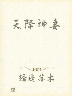 天降神妻