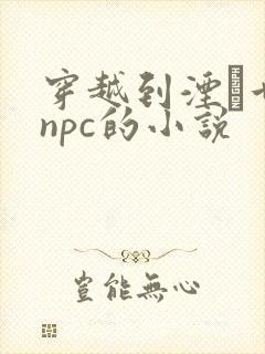 穿越到湮婸世界npc的小说