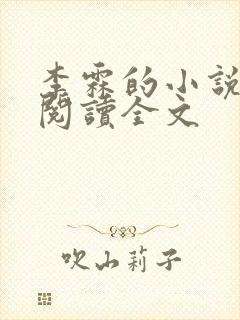 李霖的小说免费阅读全文