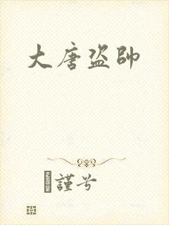 大唐盗帅