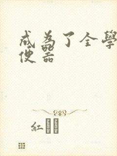 成为了全学校坐便器