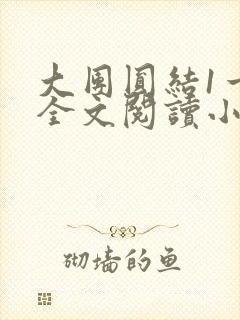 大团圆结1一6全文阅读小说