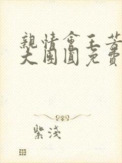 亲情会王芳高敏大团圆免费阅读