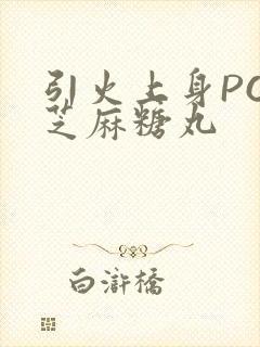 引火上身POP芝麻糖丸