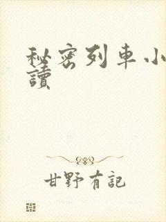 秘密列车小说阅读