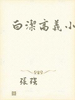 白洁高义小说