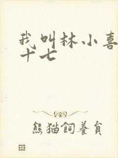 我叫林小喜今年十七