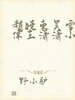 赵晓东吴雪晴郑伟王潇潇小说名字