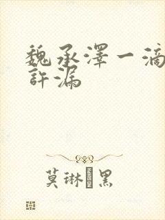 魏承泽一滴都不许漏封面