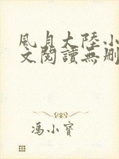 《风月大陆小说全文阅读无删减》小说封面