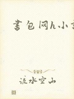 书包网h小说
