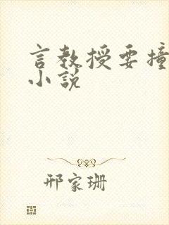 言教授要撞坏了小说