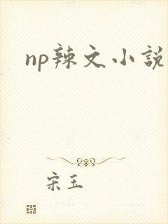 np辣文小说