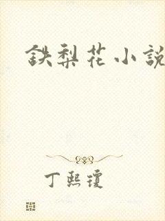 铁梨花小说