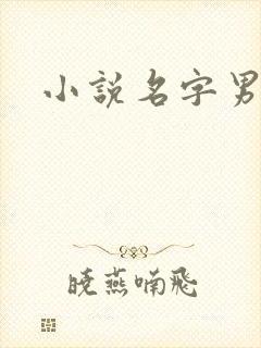 小说名字男生