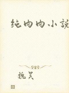 纯肉肉小说
