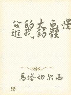 公的大龟慢慢挺进我的体