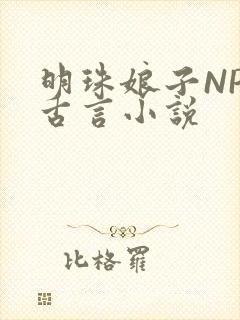 明珠娘子NPC古言小说