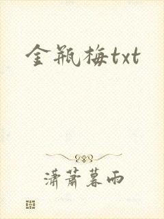 金瓶梅txt