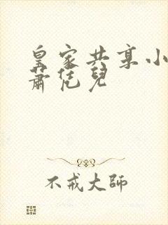 皇家共享小公主萧凭儿