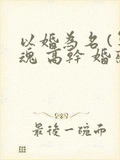 以婚为名 (军魂 高干 婚恋)