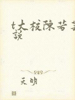 t大校陈若芸小说