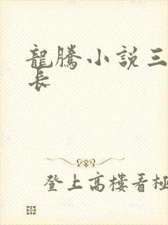 龙腾小说三宝局长