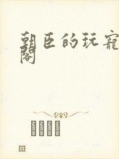 朝臣的玩宠笔趣阁