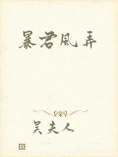 暴君风弄