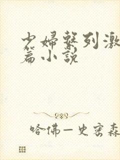 少妇系列激情短篇小说封面