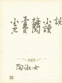 小青梅小说全文免费阅读