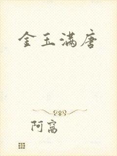 金玉满唐封面