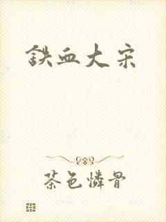 铁血大宋