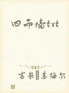 四面墙txt