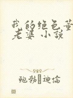 我的绝色董事长老婆 小说