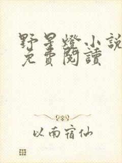 野星灯小说全文免费阅读