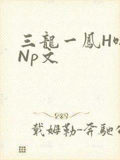 三龙一凤H啪肉Np文