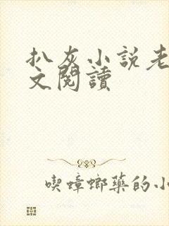 扒灰小说老马全文阅读