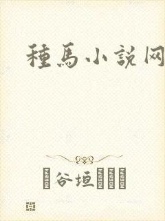 种马小说网