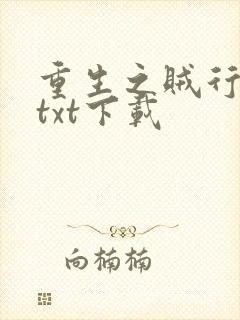 重生之贼行天下txt下载