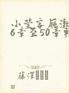 小莹客厅激情46章至50章软件介绍