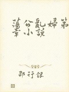 荡公乱妇第51章小说