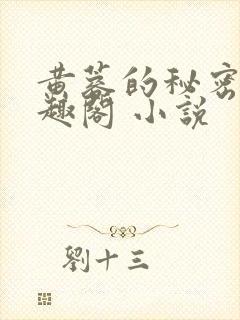 黄蓉的秘密 笔趣阁 小说