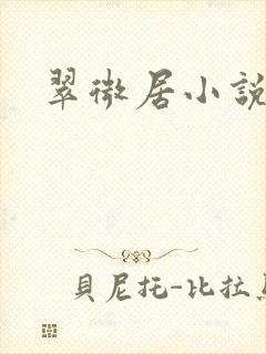 翠微居小说