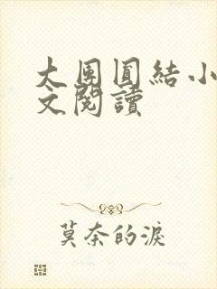 大团圆结小茹全文阅读